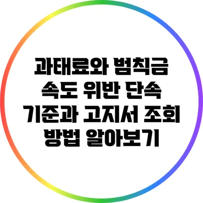 과태료와 범칙금: 속도 위반 단속 기준과 고지서 조회 방법 알아보기