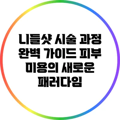 니들샷 시술 과정 완벽 가이드: 피부 미용의 새로운 패러다임