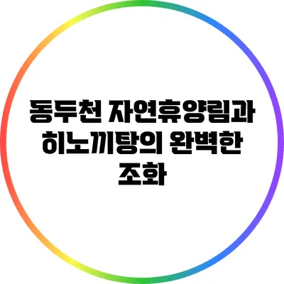 동두천 자연휴양림과 히노끼탕의 완벽한 조화