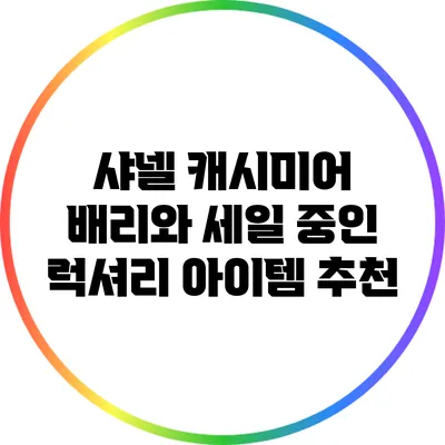 샤넬 캐시미어 배리와 세일 중인 럭셔리 아이템 추천