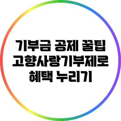 기부금 공제 꿀팁: 고향사랑기부제로 혜택 누리기