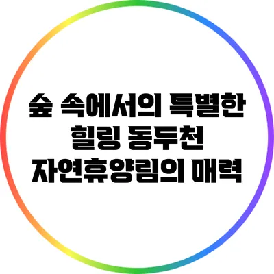 숲 속에서의 특별한 힐링: 동두천 자연휴양림의 매력