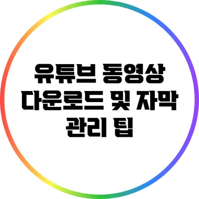 유튜브 동영상 다운로드 및 자막 관리 팁