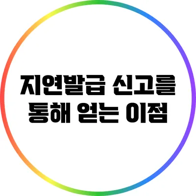 지연발급 신고를 통해 얻는 이점