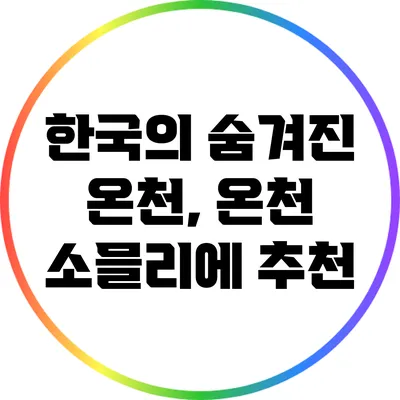 한국의 숨겨진 온천, 온천 소믈리에 추천