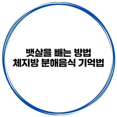 뱃살을 빼는 방법 체지방 분해음식 기억법