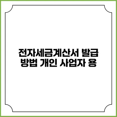 전자세금계산서 발급 방법 개인 사업자 용