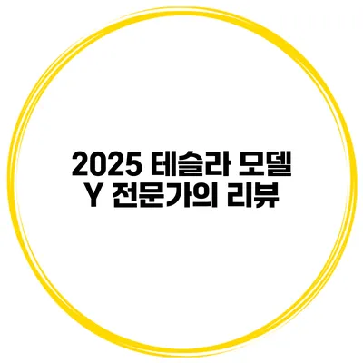 2025 테슬라 모델 Y 전문가의 리뷰