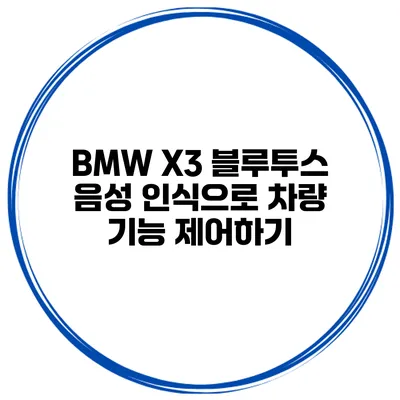 BMW X3 블루투스 음성 인식으로 차량 기능 제어하기