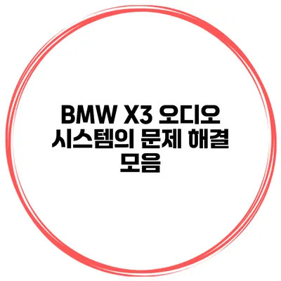 BMW X3 오디오 시스템의 문제 해결 모음