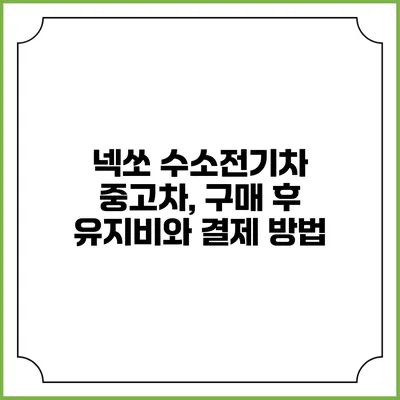 넥쏘 수소전기차 중고차, 구매 후 유지비와 결제 방법