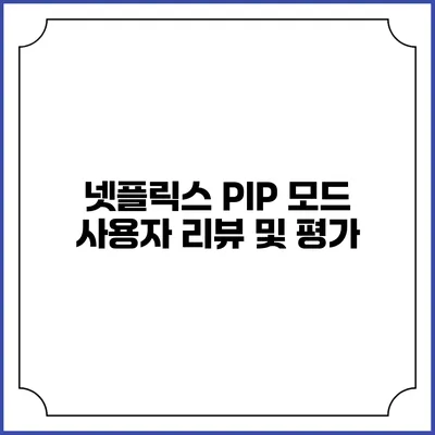 넷플릭스 PIP 모드 사용자 리뷰 및 평가