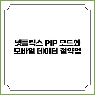 넷플릭스 PIP 모드와 모바일 데이터 절약법
