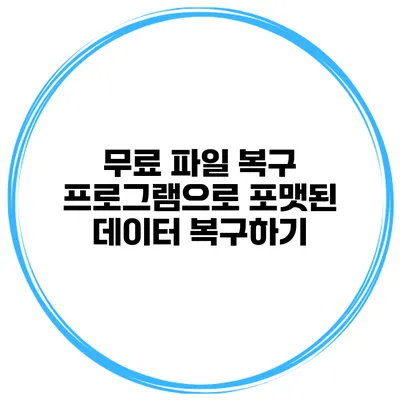 무료 파일 복구 프로그램으로 포맷된 데이터 복구하기