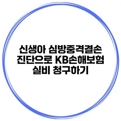 신생아 심방중격결손 진단으로 KB손해보험 실비 청구하기