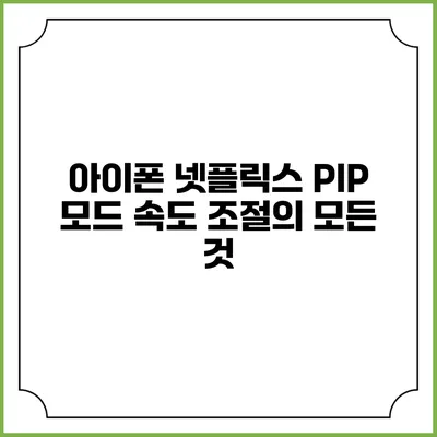 아이폰 넷플릭스 PIP 모드 속도 조절의 모든 것