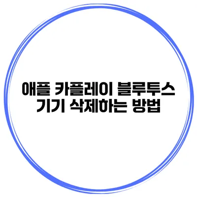 애플 카플레이 블루투스 기기 삭제하는 방법