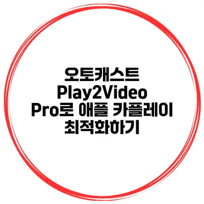 오토캐스트 Play2Video Pro로 애플 카플레이 최적화하기