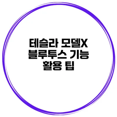 테슬라 모델X 블루투스 기능 활용 팁